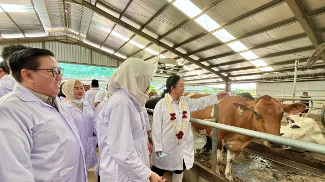 Dongkrak Susu Segar Dalam Negeri, Kementan Siapkan Bantuan Sapi Perah
